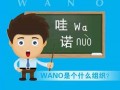 图说核电WANO