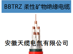 安徽天缆电气专业生产：仪器仪表，耐磨热电阻，耐磨热电偶，特种电缆，铁路机车电缆，内屏蔽数字电缆，长途对称信号电缆，西门子DP总线，铝护套计轴电缆，低烟无卤环保电缆，镀银航空导线，超高温纯镍导线，延长型补偿电缆，各种特殊电缆，都可以单独定制加工，特种电缆伴热带电缆，煤矿信号电缆，铠装控制电缆，高温补偿电缆