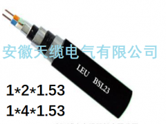 安徽天缆电气专业生产：仪器仪表，耐磨热电阻，耐磨热电偶，特种电缆，铁路机车电缆，内屏蔽数字电缆，长途对称信号电缆，西门子DP总线，铝护套计轴电缆，低烟无卤环保电缆，镀银航空导线，超高温纯镍导线，延长型补偿电缆，各种特殊电缆，都可以单独定制加工，特种电缆伴热带电缆，煤矿信号电缆，铠装控制电缆，高温补偿电缆